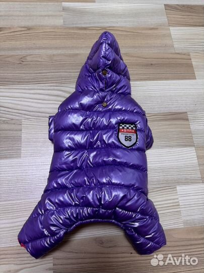 Одежда для маленьких собак