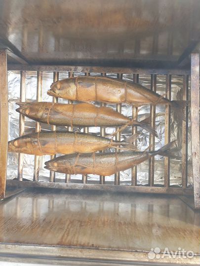 Вкусная рыба горячего копчения