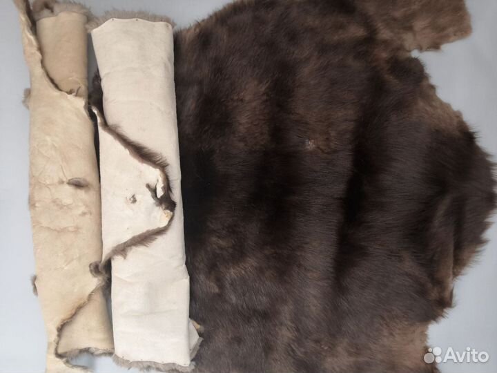 Мех канадского бобра. Натуральный, выделанный