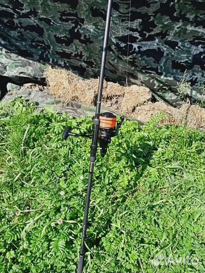 Карповая рыбалка