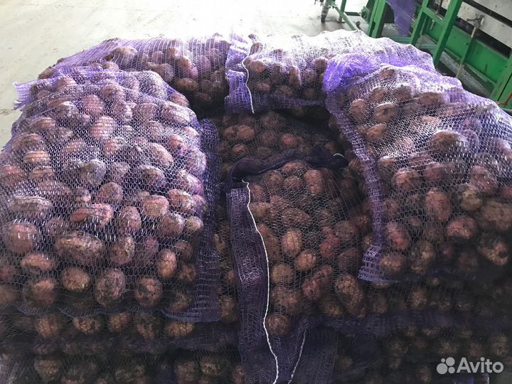 Сетка-мешок на рулоне