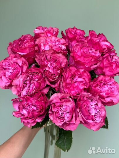 Премиум пионовидна роза 50см,Доставка