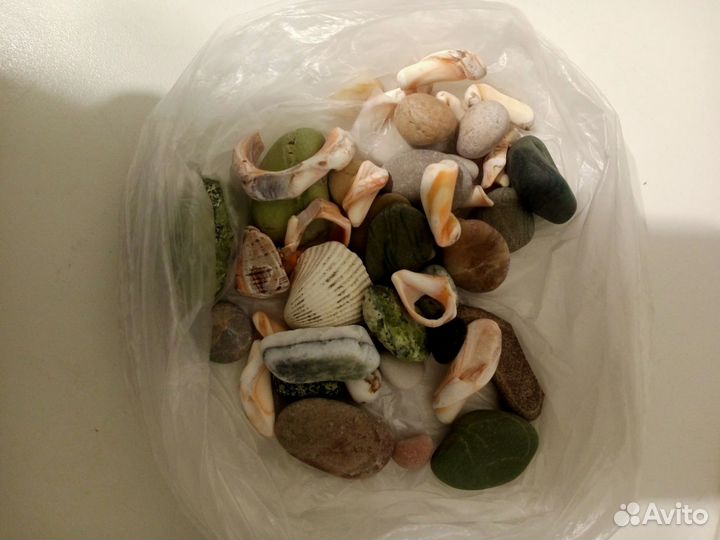 Морские камушки и ракушки