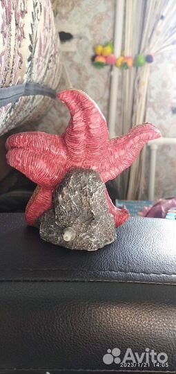 Грот Морская звезда 11*6,6*10,5см