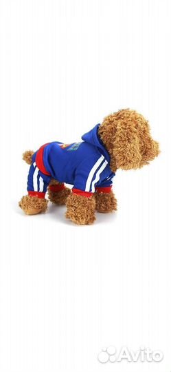 Одежда для мелких собак