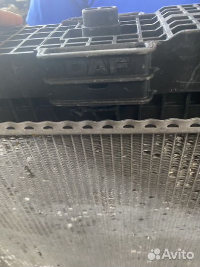 Радиатор daf 95