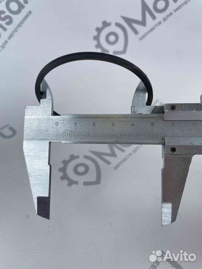 Кольца Муравей (Россия) уз.нормальные (62,00) пара