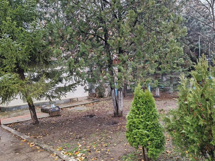 Свободного назначения, 114 м²