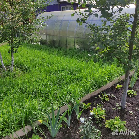 Теплица б/у 3х6 метров