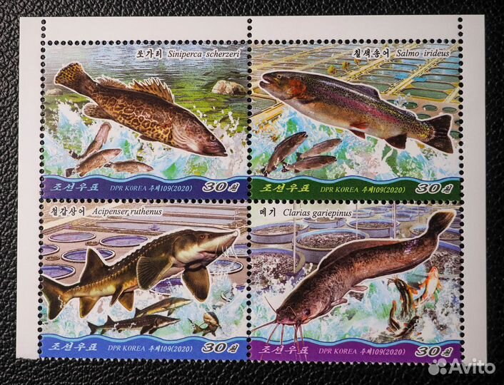 Марки не гашеные фауна 16