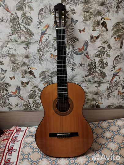 Акустическая гитара