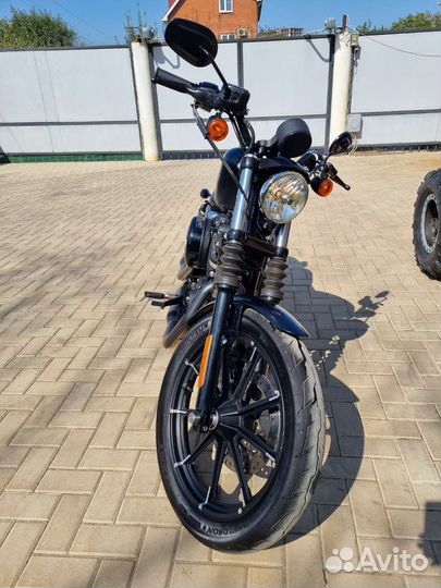 Harley davidson iron 883