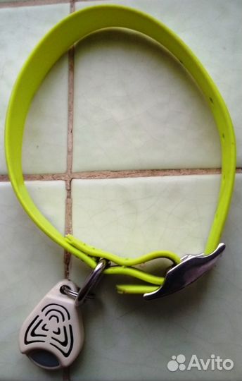 Футболка для Йорка, шпица с номером 00