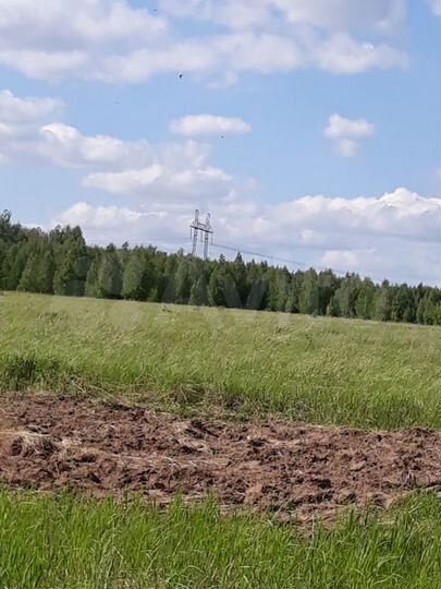 Участок 1,25 га (СНТ, ДНП)