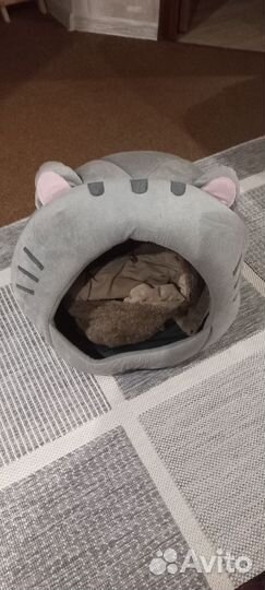 Домик для кошки бу