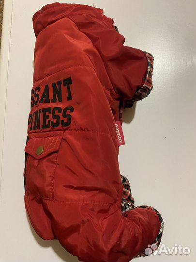 Зимний комбинезон для собаки