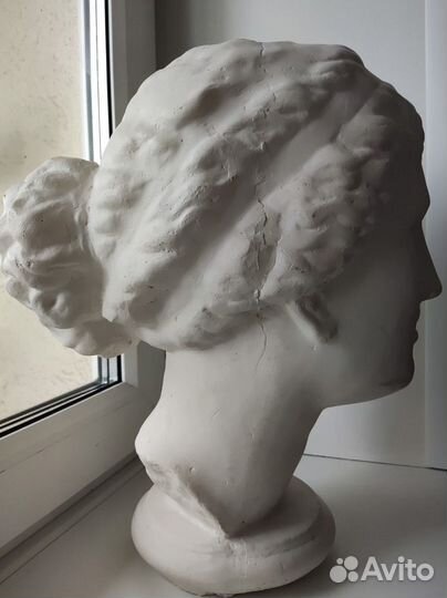 Гипсовая голова Афродиты