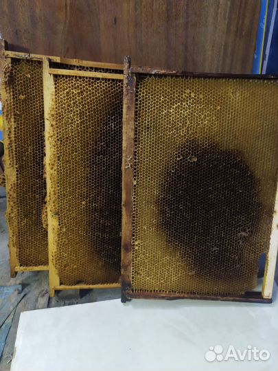 Рамки с вощиной суш Дадан и в подрамник