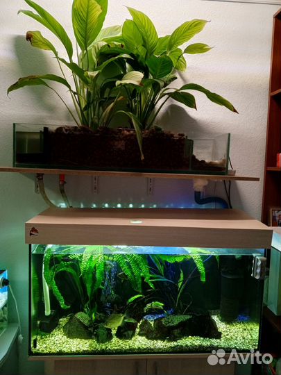 Аквариум с тумбой 180 литров