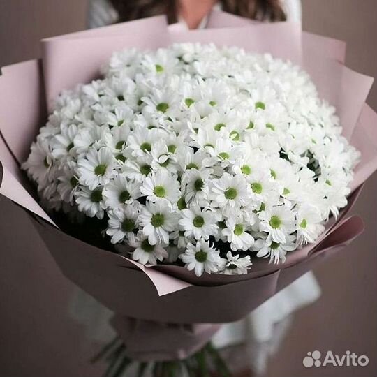 Хризантема Букеты доставка цветов