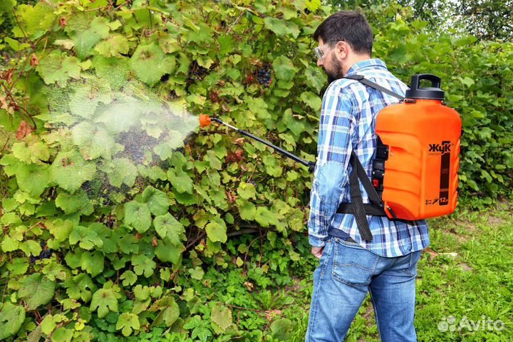 Жук (опрыскиватель электрический)