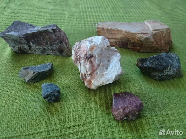 Камушки и ракушки из моря. Камни из Урала