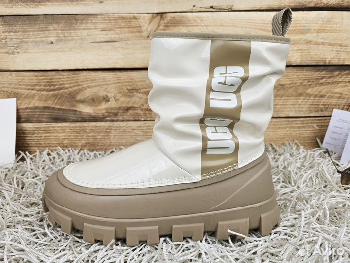 Сапоги UGG Brellah New Must Seed женские оригинал