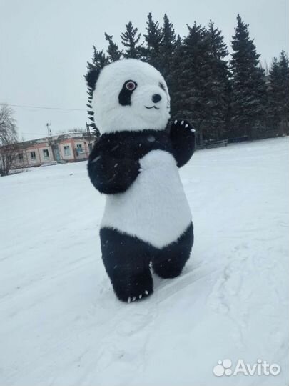 Поздравление от Мишки Панды