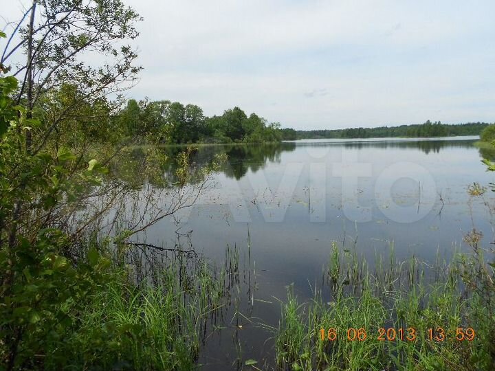 Участок 3,4 га (СНТ, ДНП)