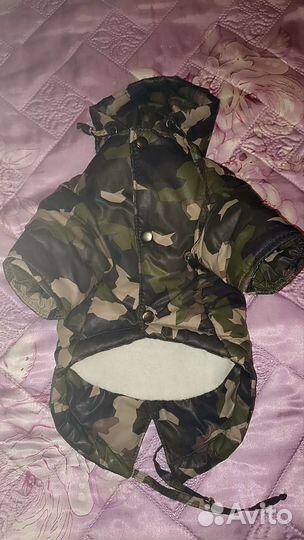 Одежда для собак