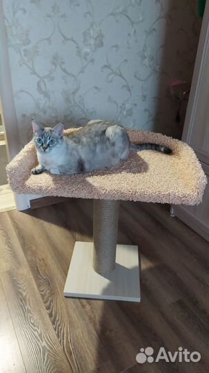 Лежанка для кошек