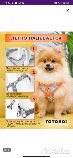 Шлейка для собаки