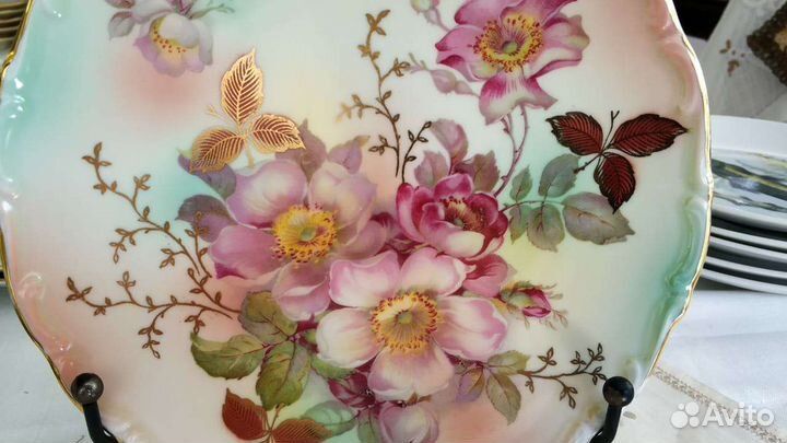 Тарелка с цветками шиповника Schumann Arzberg