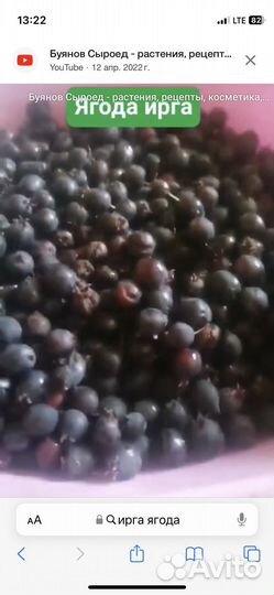Ягоды ирга