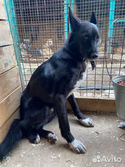 Найдите дом