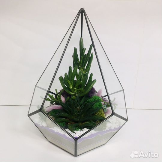 Флорариум с экзотическими цветами