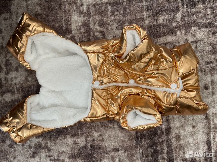 Одежда для маленьких собак