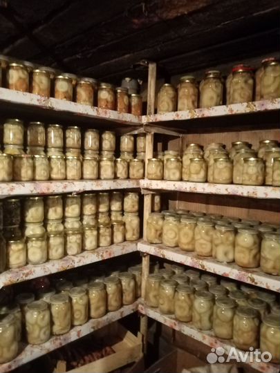 Грибы грузди соленые