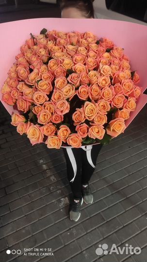 Цветы розы доставка ростов 101 51 25 роз