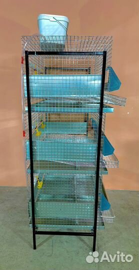 Клетки для кур несушек с яйцесборником