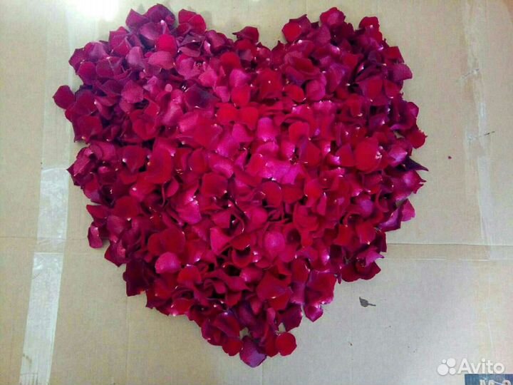 Свежие лепестки роз Букеты из роз