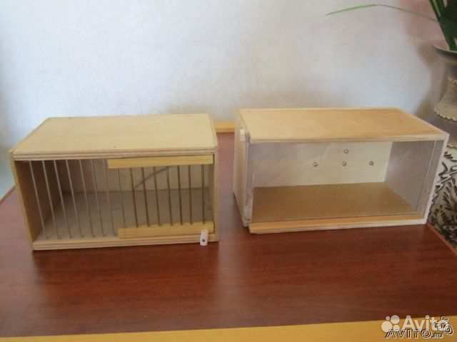 Канарейки и Прекрасно поющие кенары