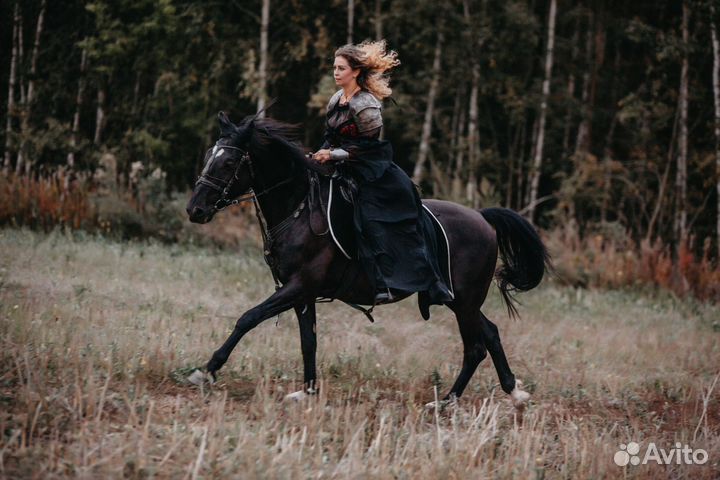 Катание на лошадях