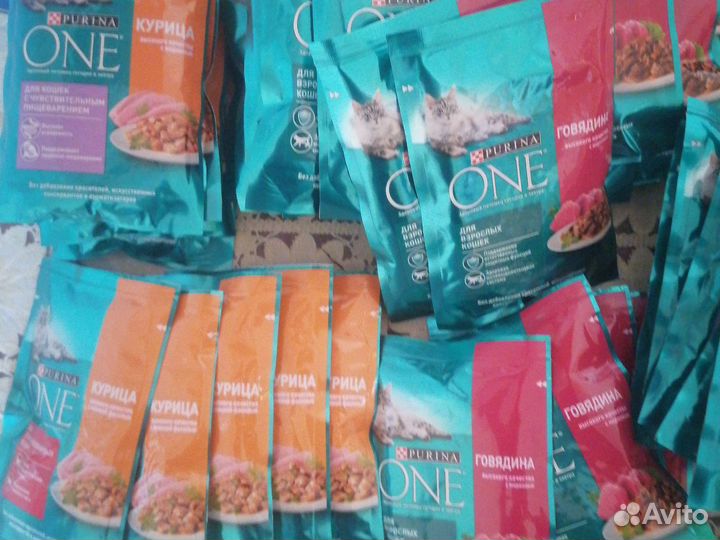 Влажный корм для кошек purina one