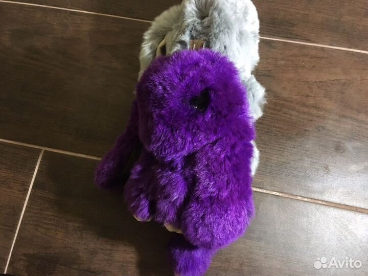 Шикарные Зайцы