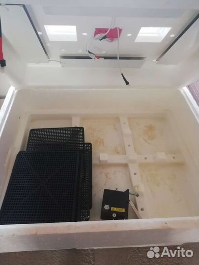 Инкубатор для яиц автоматический бу