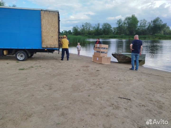 Грузоперевозки газель грузчики. Переезды