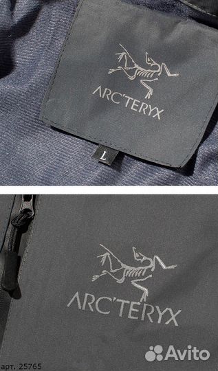 Ветровка Arcteryx wei-tex серая