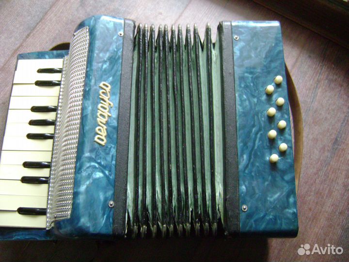 Аккордион белорусь