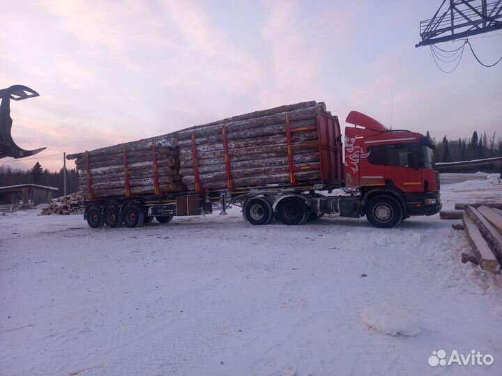 Полуприцеп лесовоз (сортиментовоз) ЧМЗАП 9906, 2019